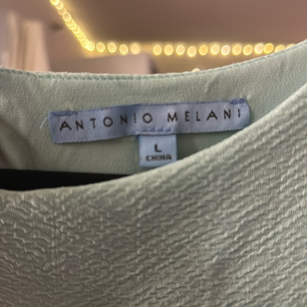 Antonio Melani Women's Blue and Green Dress